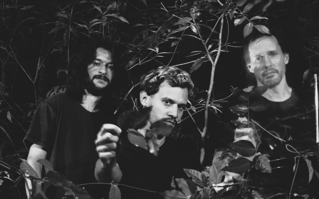 Vivac: “Me gusta traer el rock al monte, a la selva.”